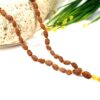 2 Mukhi Rudraksha Moon Mala to brings inner bliss and promotes harmony