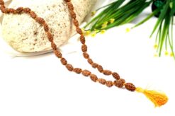 2 Mukhi Rudraksha Moon Mala to brings inner bliss and promotes harmony