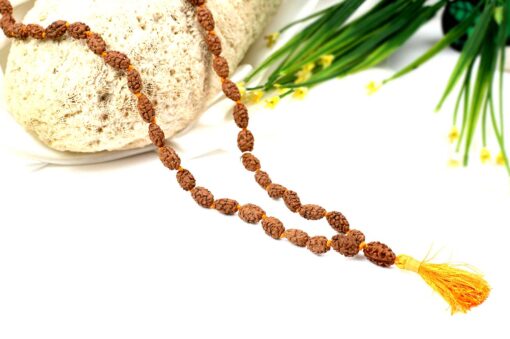 2 Mukhi Rudraksha Moon Mala to brings inner bliss and promotes harmony