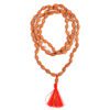 2 Mukhi Rudraksha Moon Mala to brings inner bliss and promotes harmony