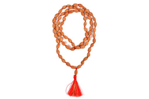 2 Mukhi Rudraksha Moon Mala to brings inner bliss and promotes harmony