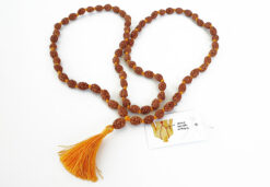 3 Mukhi Rudraksha Mahajwala Mala for released from past memories of hurt, shame, anger and low self esteem