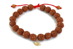 5 Mukhi Rare Rudraksha Bracelet with Chikna enhances learning, knowledge, awareness and concentration