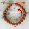 5 Mukhi Rare Rudraksha Bracelet with Chikna enhances learning, knowledge, awareness and concentration