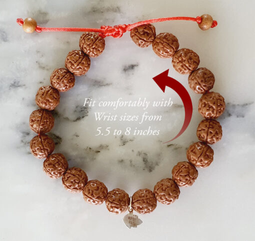 5 Mukhi Rare Rudraksha Bracelet with Chikna enhances learning, knowledge, awareness and concentration