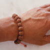 5 Mukhi Rare Rudraksha Bracelet with Chikna enhances learning, knowledge, awareness and concentration