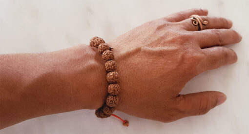 5 Mukhi Rare Rudraksha Bracelet with Chikna enhances learning, knowledge, awareness and concentration