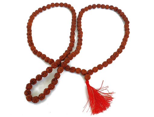 5 Mukhi Rudraksha Mala Necklace for enhances learning, knowledge, awareness and concentration-without knots