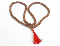 5 Mukhi Semi Chikna Rudraksha Necklace for enhances learning, knowledge, awareness and concentration-without knots