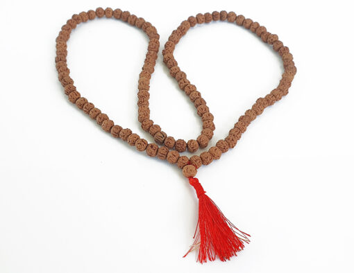 5 Mukhi Semi Chikna Rudraksha Necklace for enhances learning, knowledge, awareness and concentration-without knots