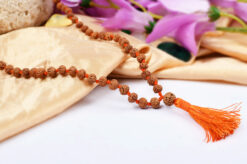 6 Mukhi Mars Mala for eliminating lethargy, increase stamina and provides the will power courage to face challenges