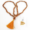 6 Mukhi Mars Necklace for eliminating lethargy, increase stamina and provides the will power courage to face challenges (Copy)