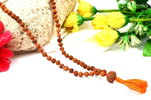 Rare 7 Mukhi Mahalaxmi Mala to liberate from miseries and bestows abundance