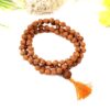 6 Mukhi Mars Necklace for eliminating lethargy, increase stamina and provides the will power courage to face challenges (Copy)