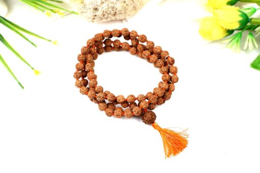 6 Mukhi Mars Necklace for eliminating lethargy, increase stamina and provides the will power courage to face challenges (Copy)