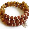 8 Mukhi Rudraksha and black Cats Eye Bracelet for Root Chakra to Brings emotional and physical stability and gives strength to overcome all hurdles