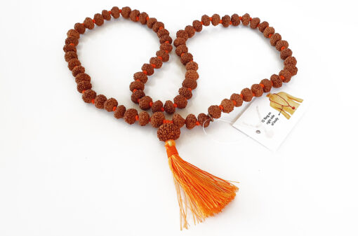 9 Mukhi Durga Shakti Mala for power, dynamism and fearlessness