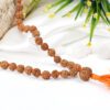 6 Mukhi Mars Necklace for eliminating lethargy, increase stamina and provides the will power courage to face challenges (Copy)