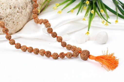 6 Mukhi Mars Necklace for eliminating lethargy, increase stamina and provides the will power courage to face challenges (Copy)