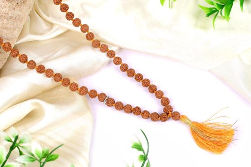 5 Mukhi Semi Chikna Rudraksha Necklace for enhances learning, knowledge, awareness and concentration-with knots