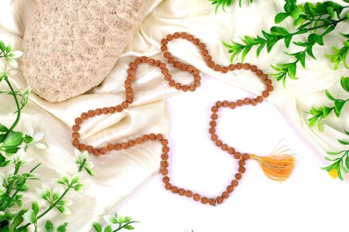 5 Mukhi Semi Chikna Rudraksha Necklace for enhances learning, knowledge, awareness and concentration-with knots