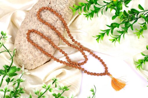 5 Mukhi Semi Chikna Rudraksha Necklace for enhances learning, knowledge, awareness and concentration-with knots