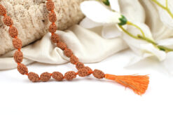 3 Mukhi Rudraksha Mahajwala Mala for released from past memories of hurt, shame, anger and low self esteem