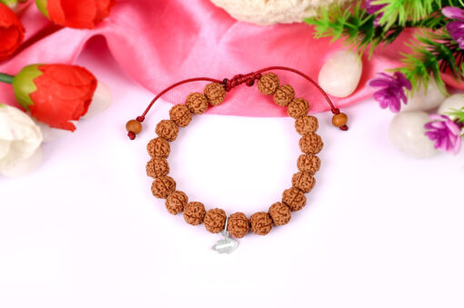 5 Mukhi Rare Rudraksha Bracelet with Chikna enhances learning, knowledge, awareness and concentration