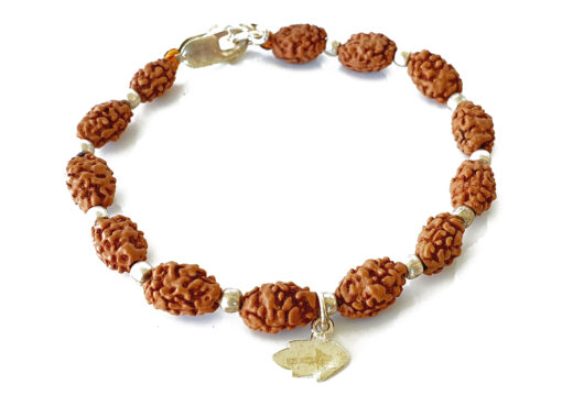 2 Mukhi Moon Rudraksha Bracelet for happiness and promotes unity and harmony