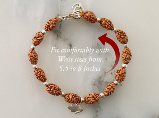 2 Mukhi Moon Rudraksha Bracelet for happiness and promotes unity and harmony