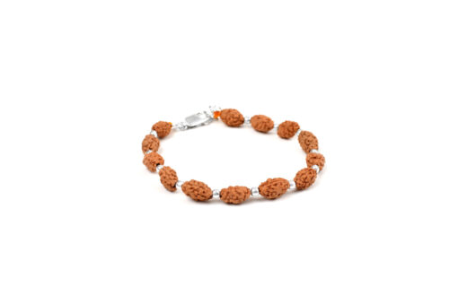 2 Mukhi Moon Rudraksha Bracelet for happiness and promotes unity and harmony