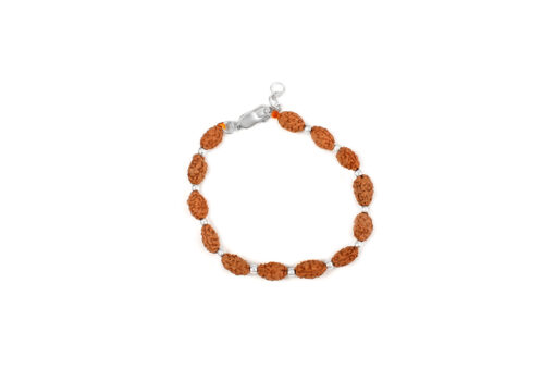 2 Mukhi Moon Rudraksha Bracelet for happiness and promotes unity and harmony