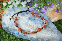 2 Mukhi Moon Rudraksha Bracelet To promotes unity and harmony