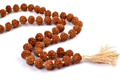 Rare 7 Mukhi Mahalaxmi Mala To bestows abundance