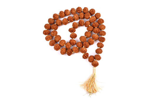 Rare 7 Mukhi Mahalaxmi Mala To bestows abundance