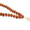 Rare 7 Mukhi Mahalaxmi Mala To bestows abundance