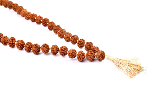 Rare 7 Mukhi Mahalaxmi Mala To bestows abundance