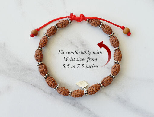 2 Mukhi Moon Rudraksha Bracelet To brings inner bliss and promotes unity