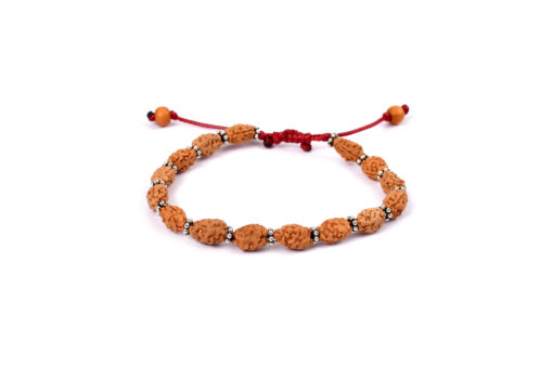 2 Mukhi Moon Rudraksha Bracelet To brings inner bliss and promotes unity