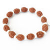 4 Mukhi Brahma Bracelet - D1 - To removes mental dullness