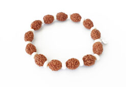 4 Mukhi Brahma Bracelet - D1 - To removes mental dullness