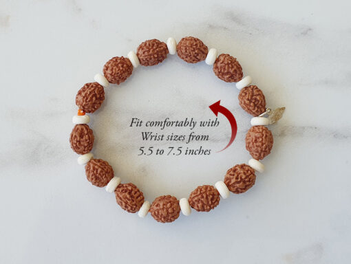 4 Mukhi Brahma Bracelet - D1 - To removes mental dullness