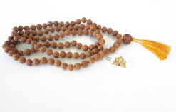 6 Mukhi Semi Chikna Mars Mala To eliminating lethargy