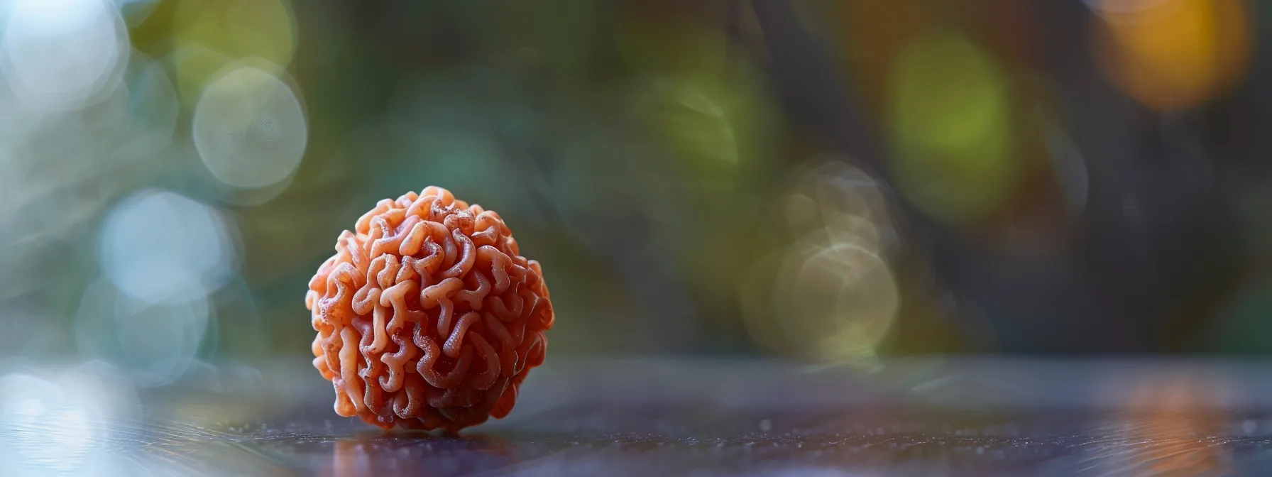 a close-up photo of a genuine eight mukhi rudraksha bead featuring clear and uniform mukhis, a natural hole formation, and no artificial alterations.