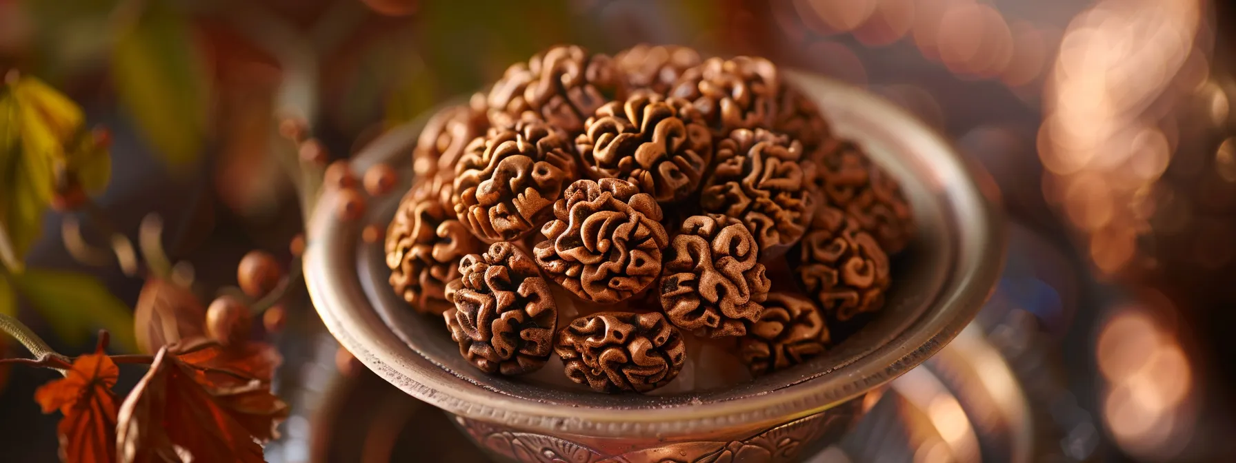 a close-up photo of a fifteen mukhi rudraksha, showcasing its intricate patterns and spiritual significance through the ages.