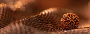 a close-up photograph of a genuine rudraksha bead, showcasing its intricate and unique texture.