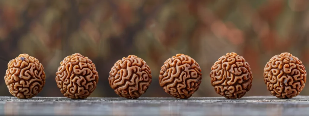 a close-up photo showcasing the intricate, natural texture and six clear, evenly spaced faces of a genuine six mukhi rudraksha bead.