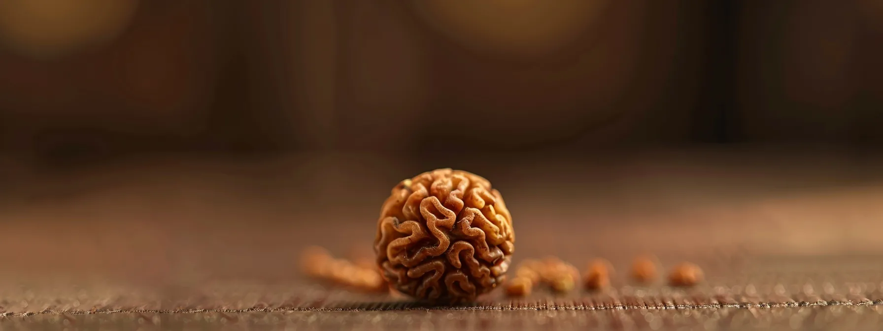 a close-up of a genuine eleven mukhi rudraksha bead, showcasing its intricate natural texture and authentic features amidst a plain background.