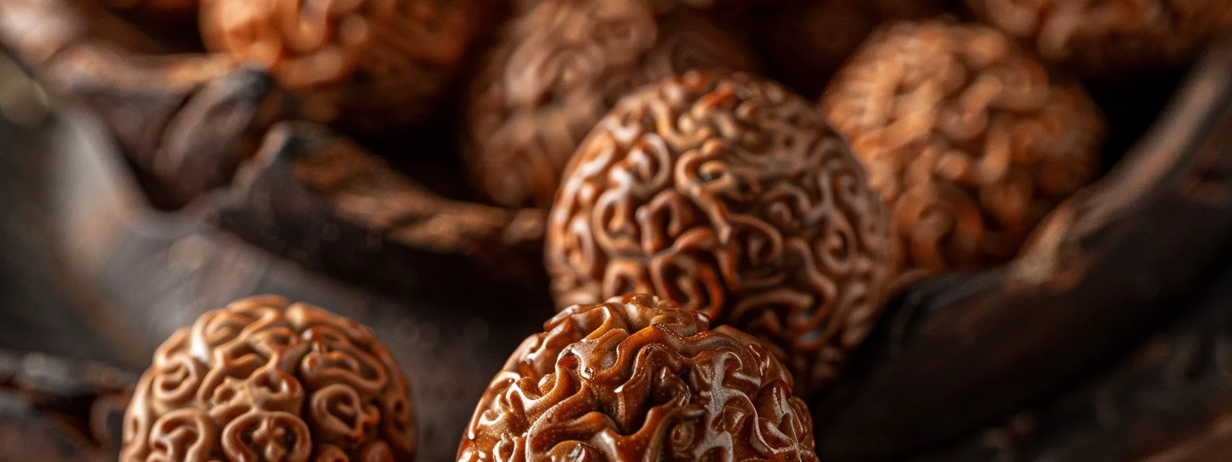 a close-up photo of the one mukhi rudraksha bead showcasing its intricate and sacred design, highlighting its key chemical components and bioactive compounds for promoting awareness and emotional balance.