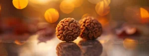 a close-up photo of a vibrant, textured three mukhi rudraksha bead under bright lighting, showcasing its authentic details.